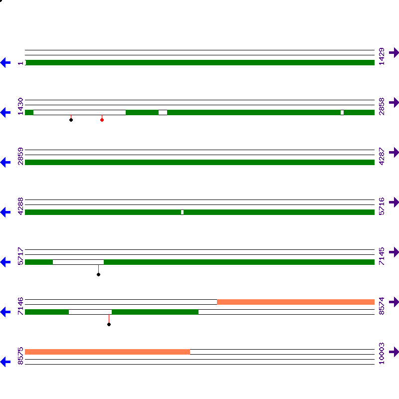 Genome View
