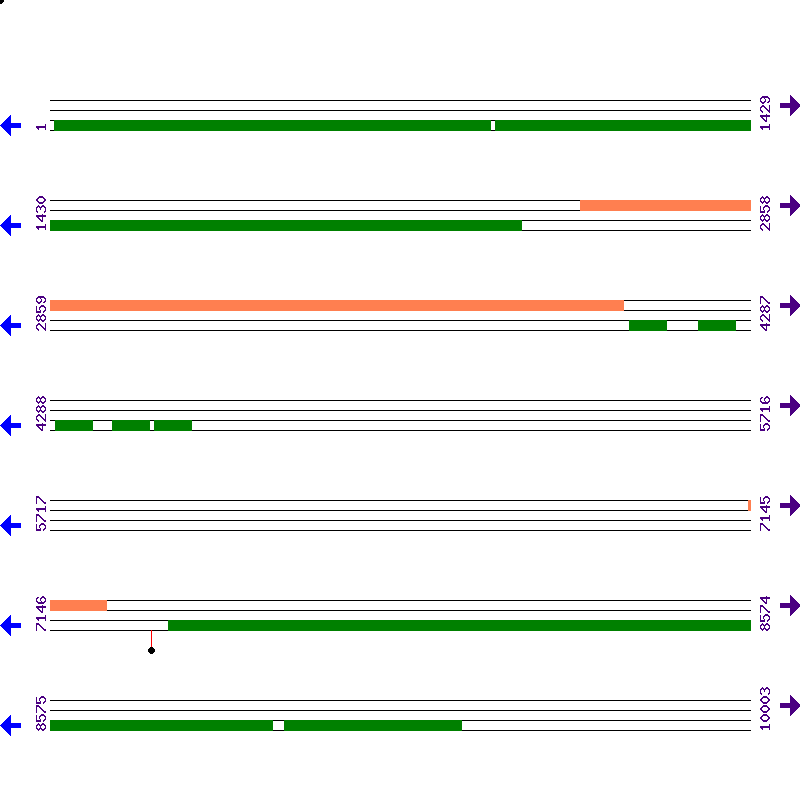 Genome View