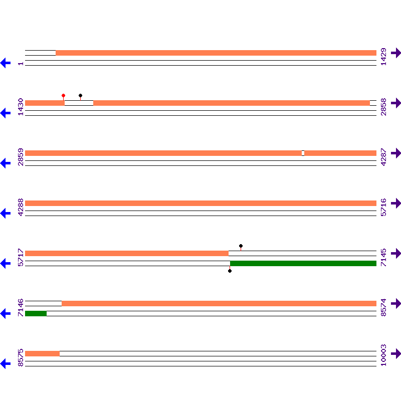 Genome View