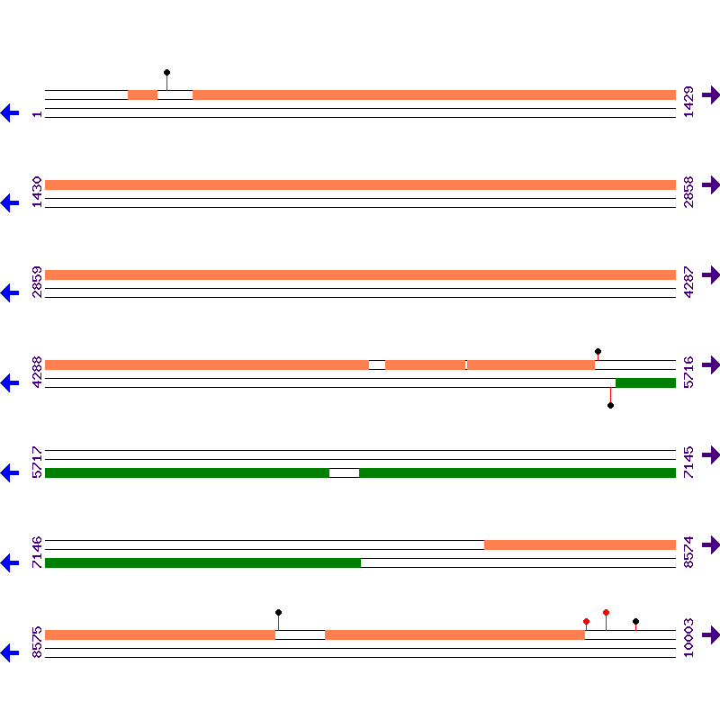 Genome View