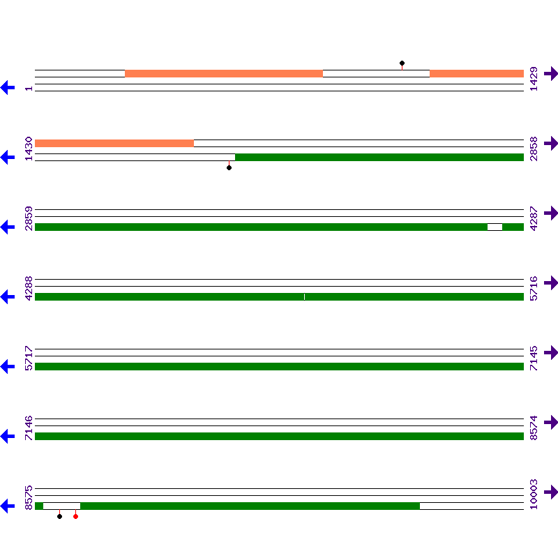 Genome View