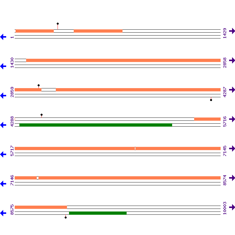Genome View