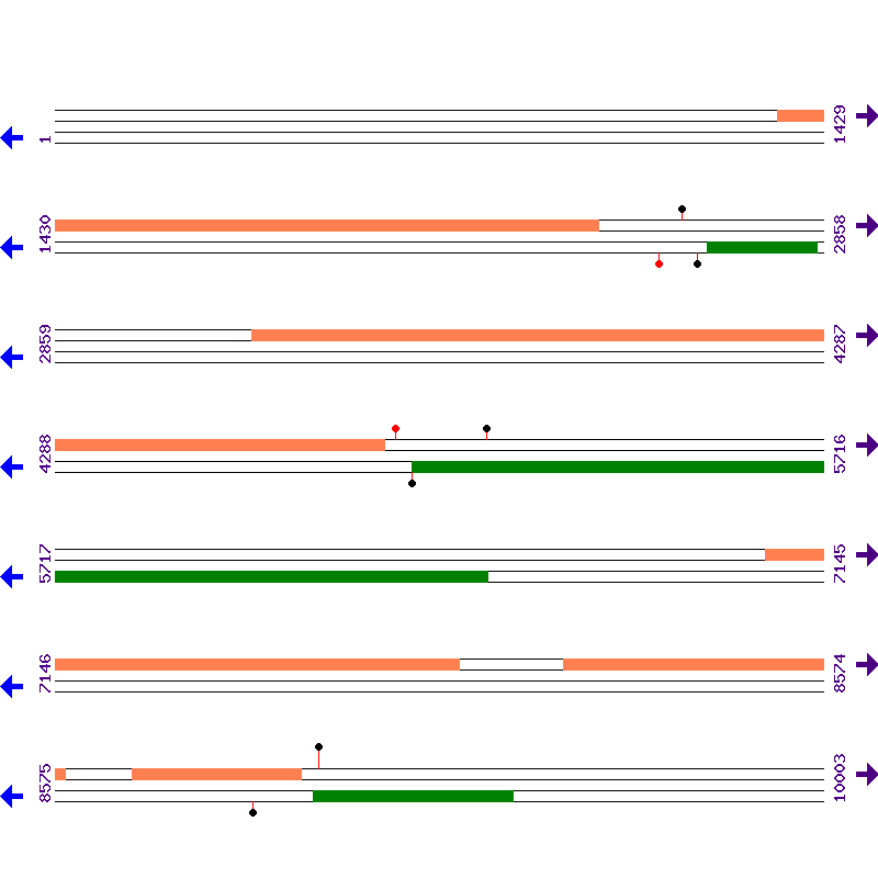 Genome View