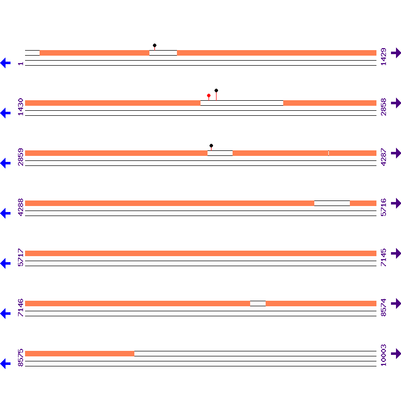 Genome View