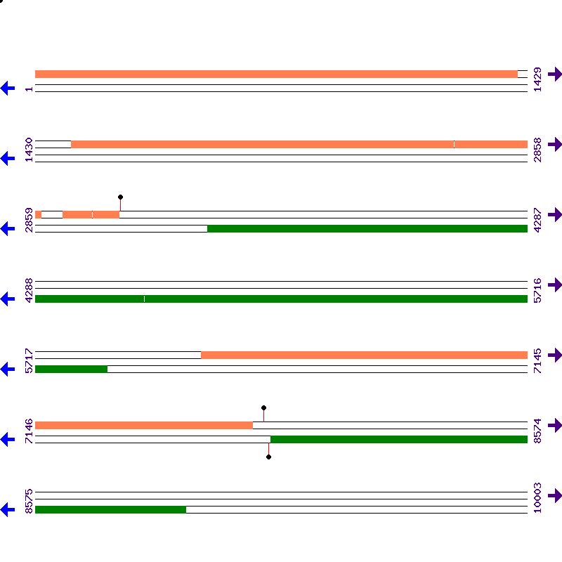 Genome View