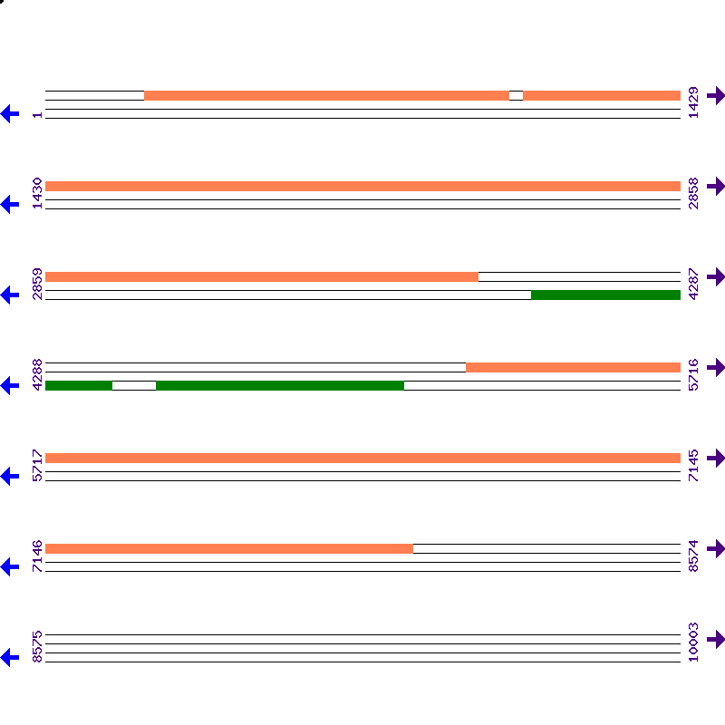Genome View