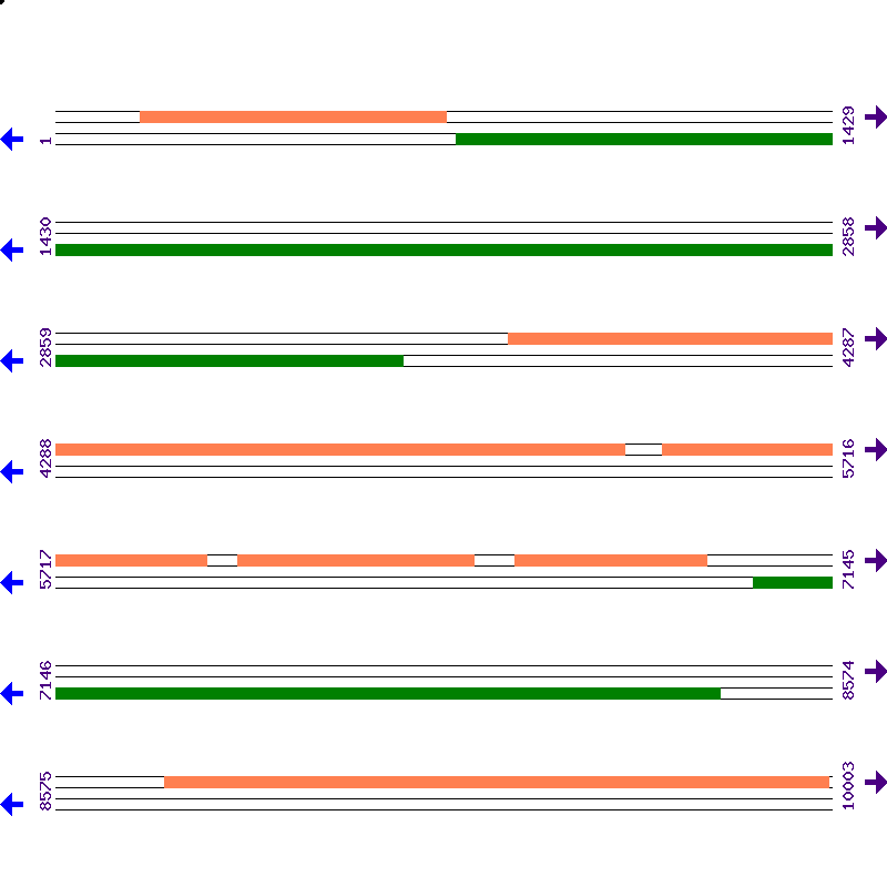 Genome View