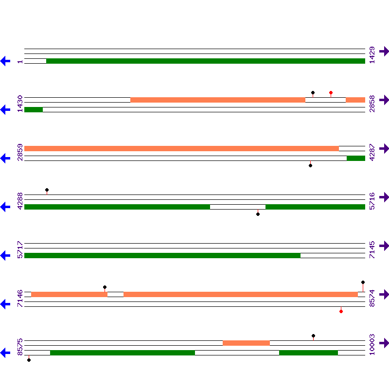 Genome View