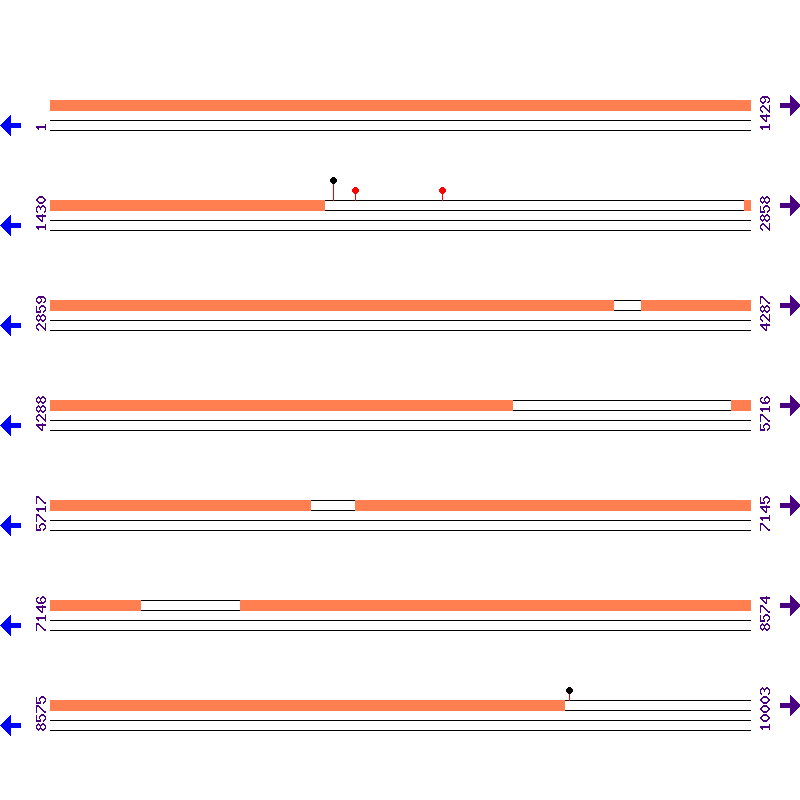 Genome View