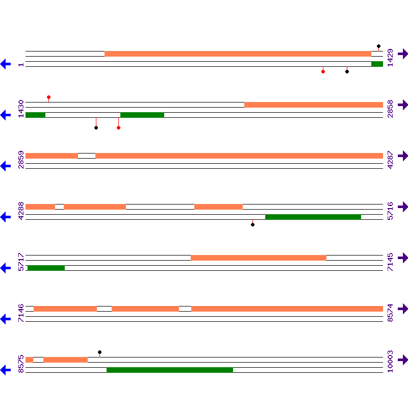 Genome View