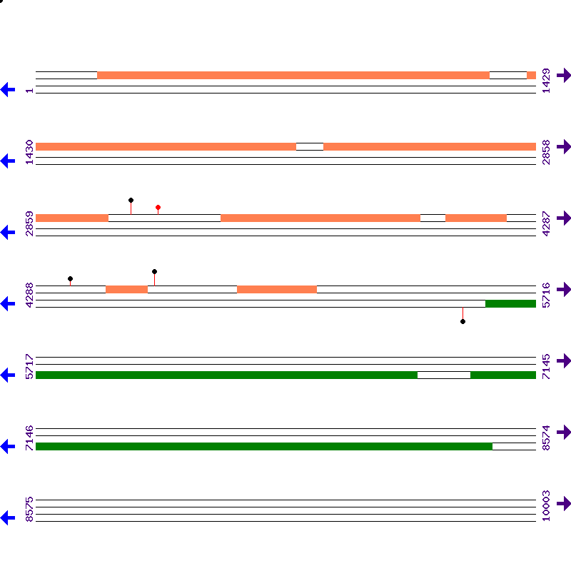 Genome View