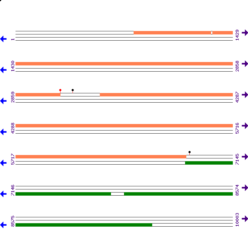 Genome View