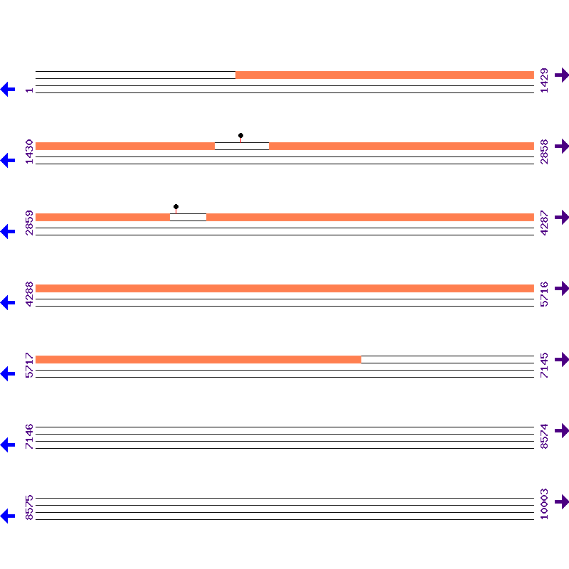 Genome View
