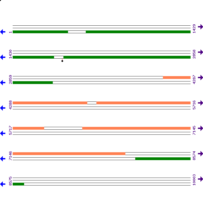 Genome View