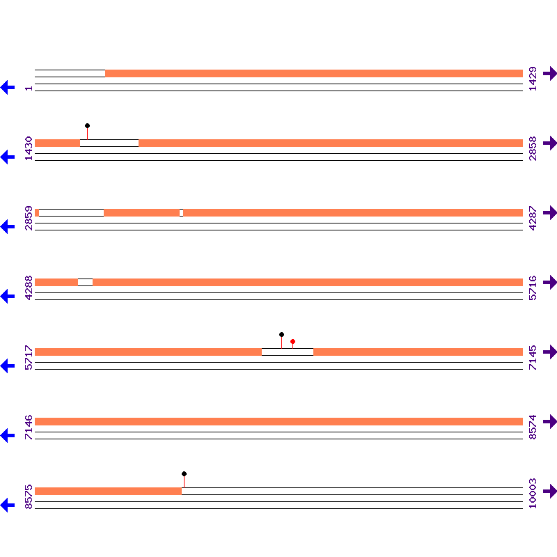 Genome View