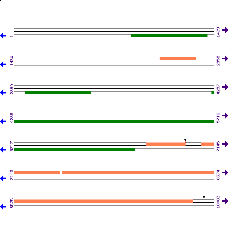 Genome View