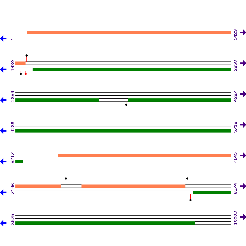 Genome View