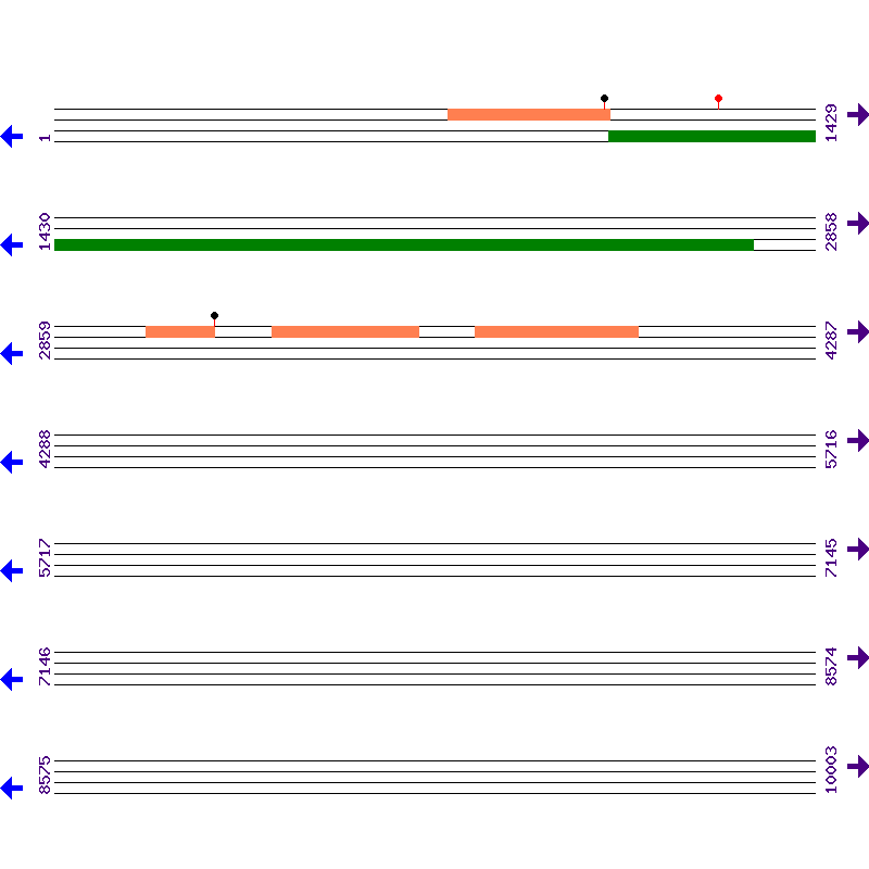 Genome View