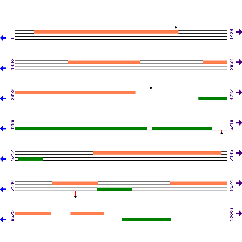 Genome View
