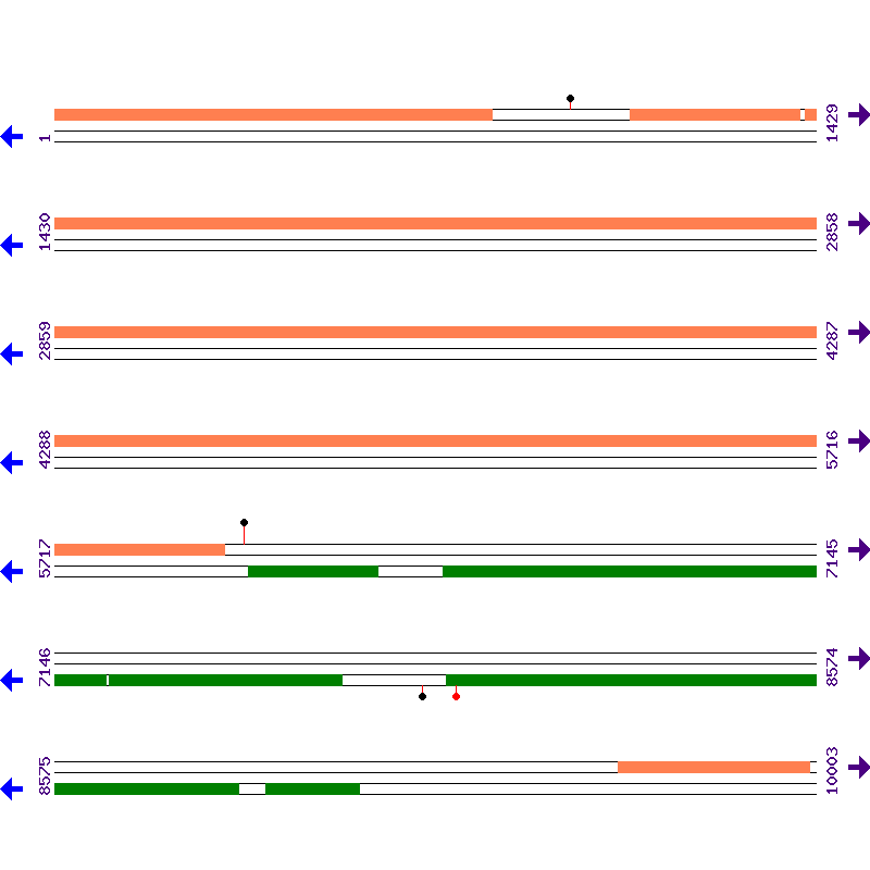 Genome View