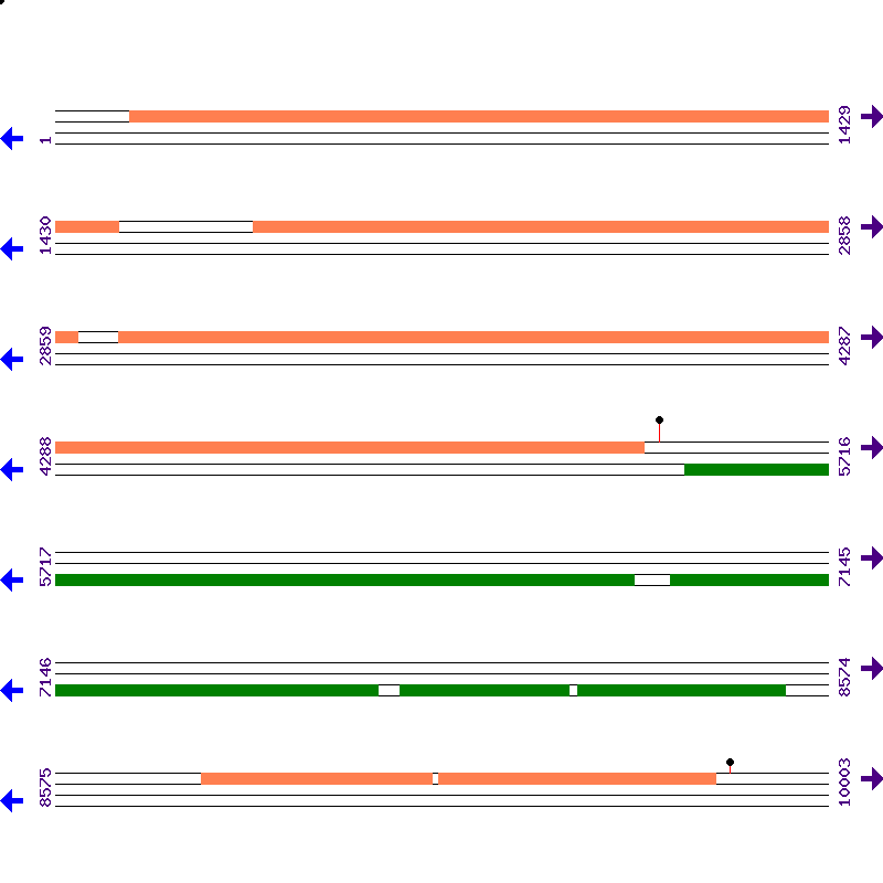 Genome View