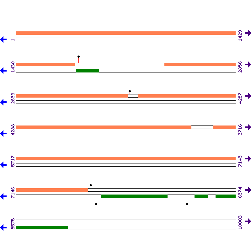 Genome View