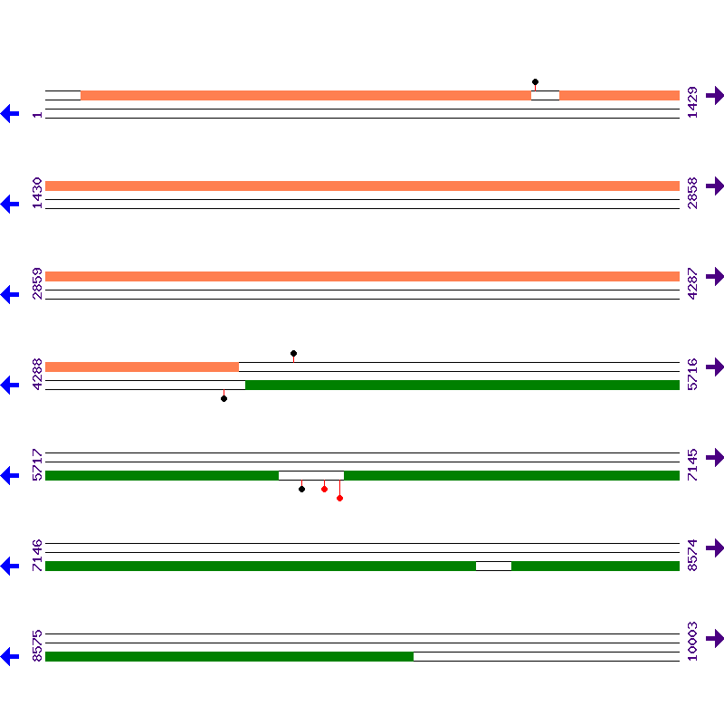 Genome View