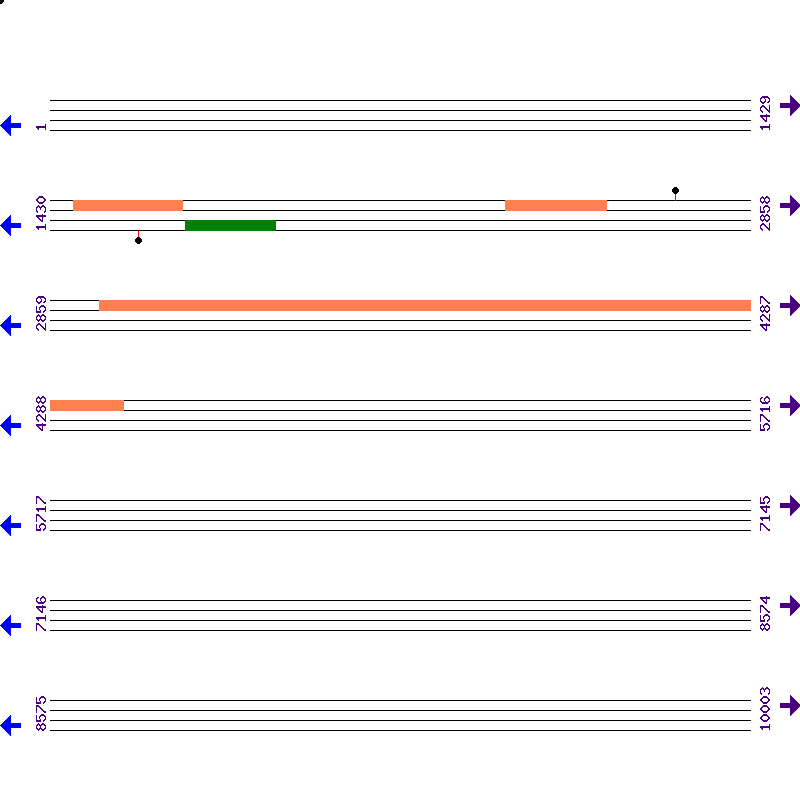 Genome View