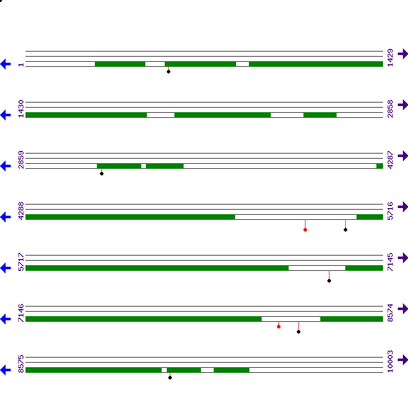 Genome View