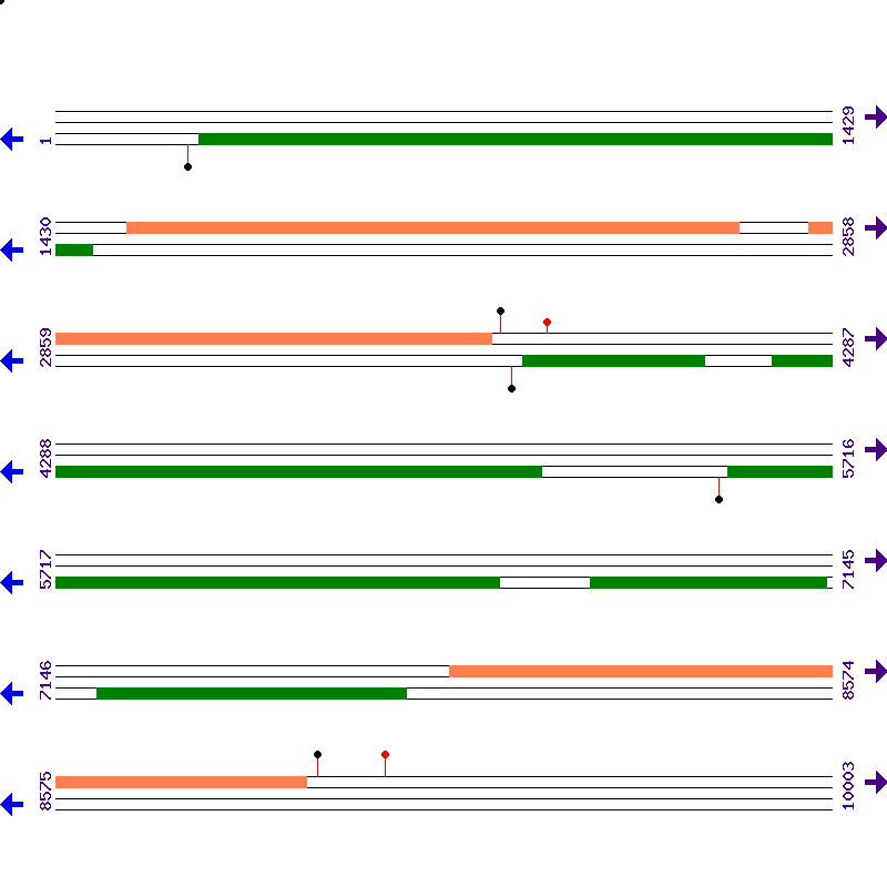 Genome View