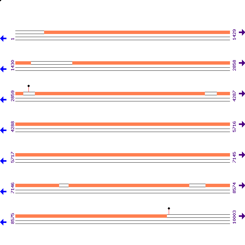 Genome View