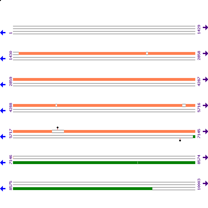 Genome View