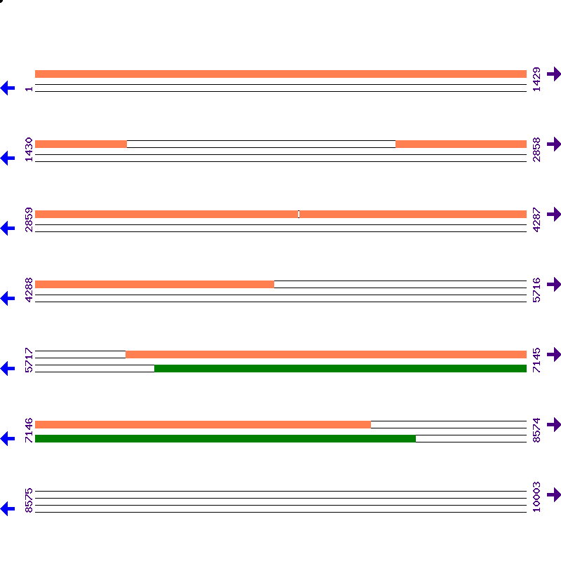 Genome View