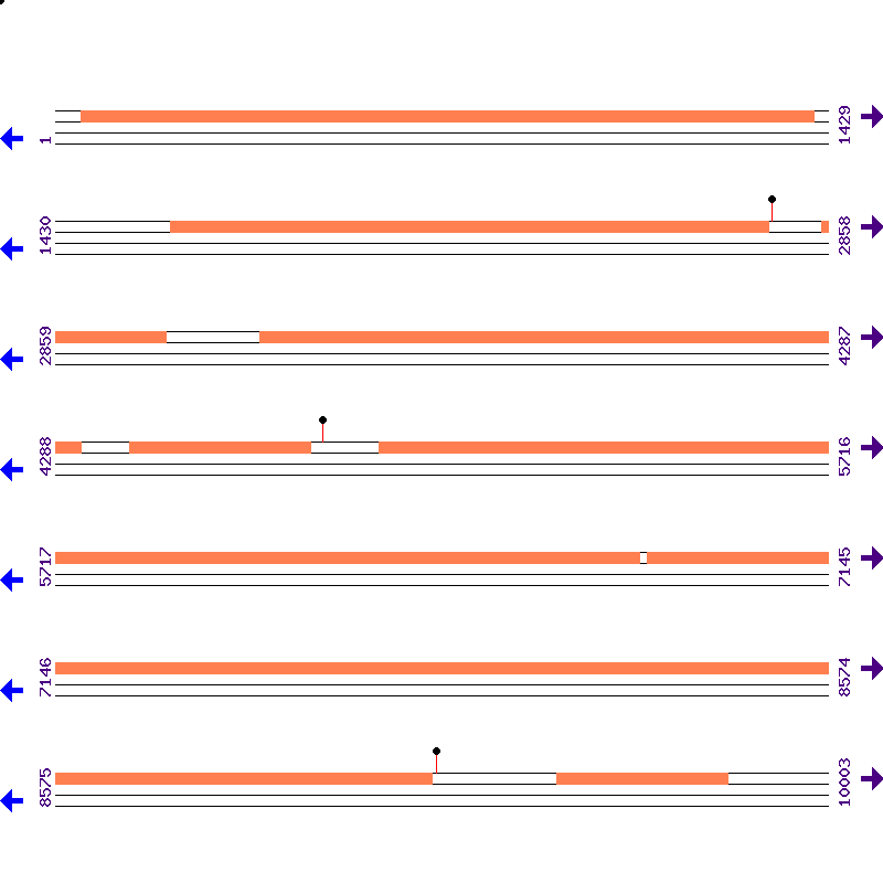 Genome View