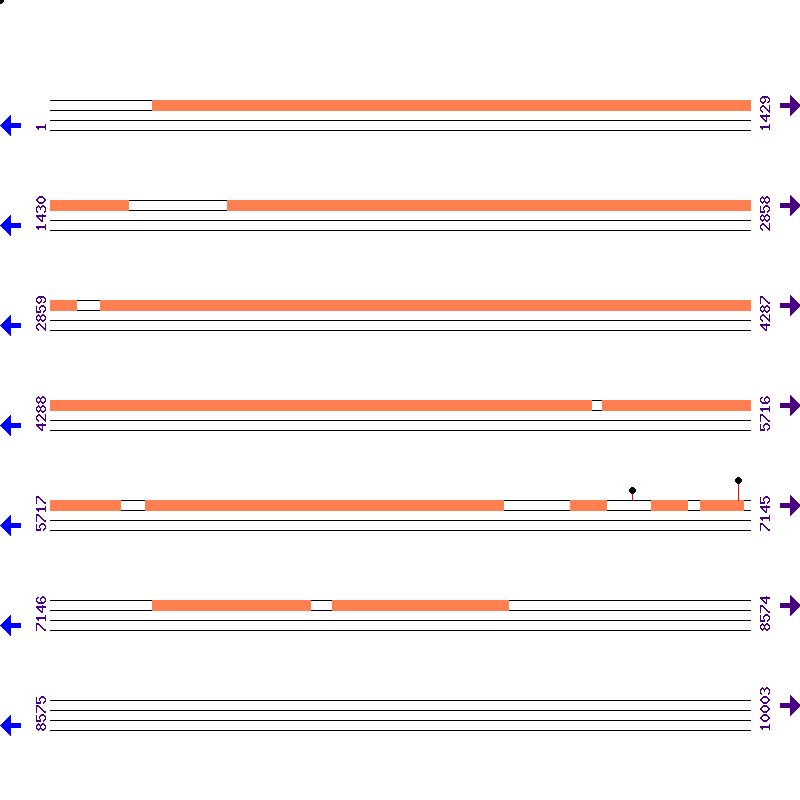 Genome View