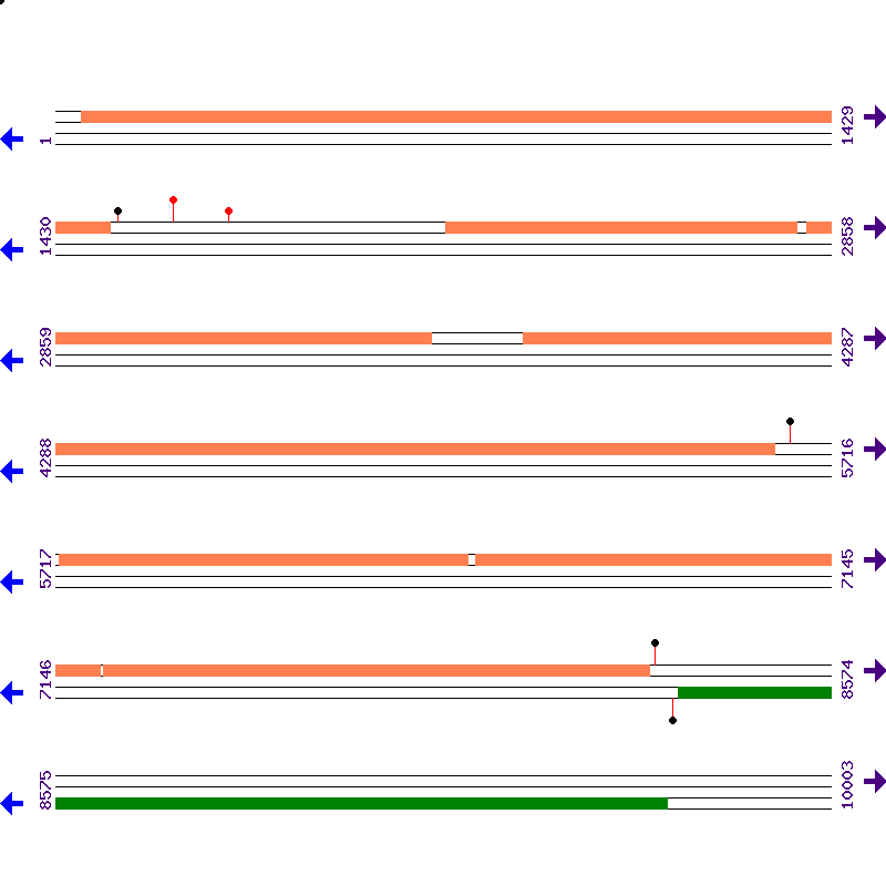 Genome View