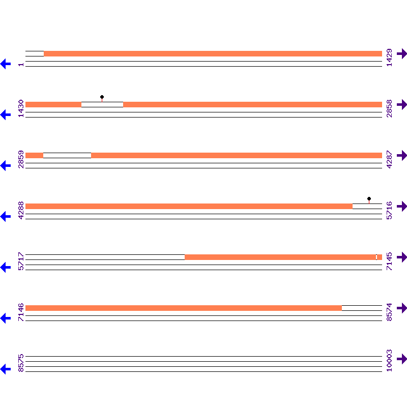 Genome View