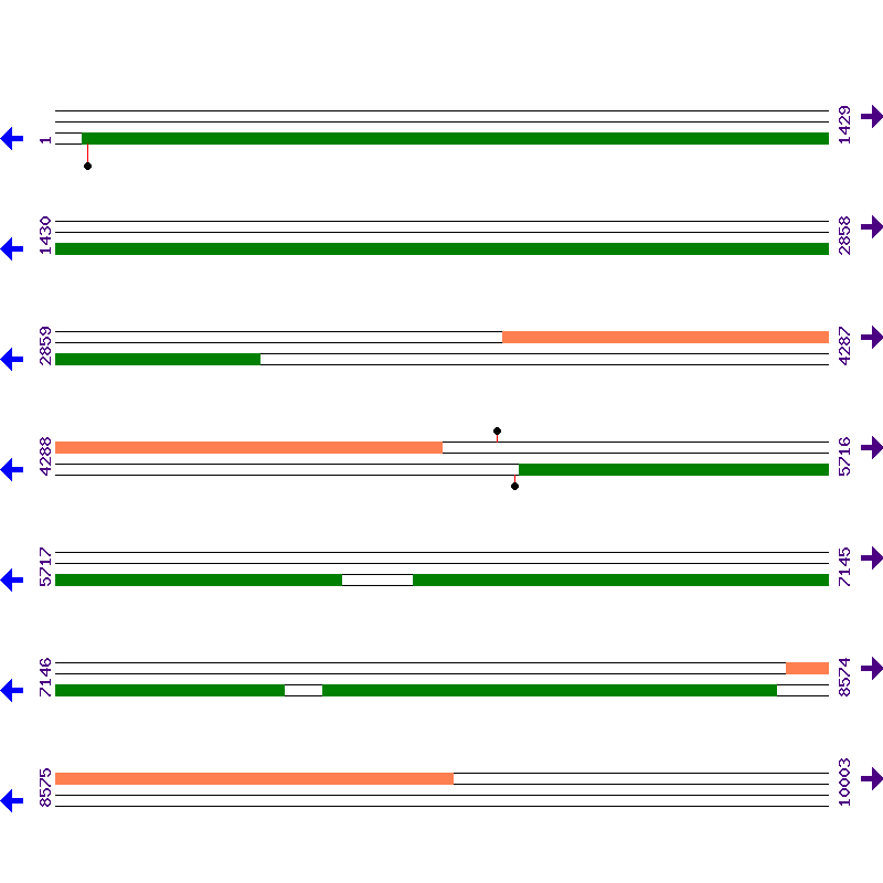 Genome View