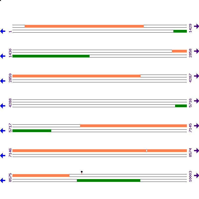 Genome View