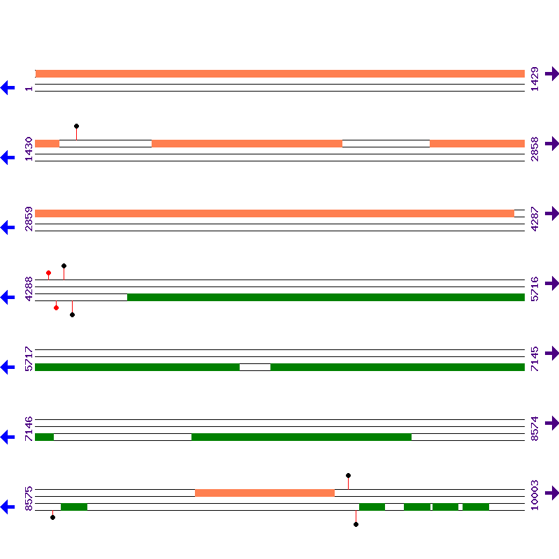 Genome View
