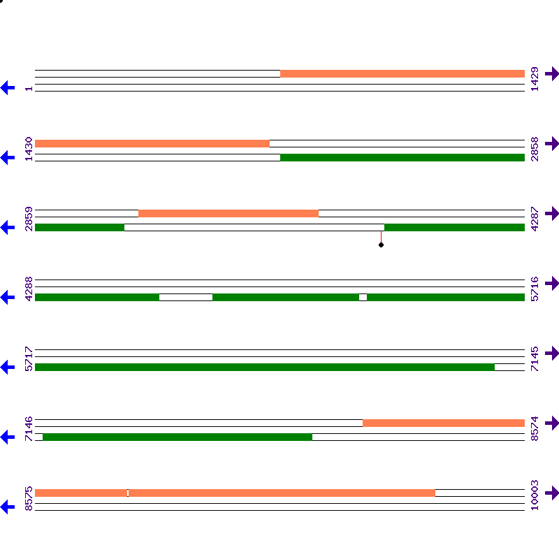 Genome View