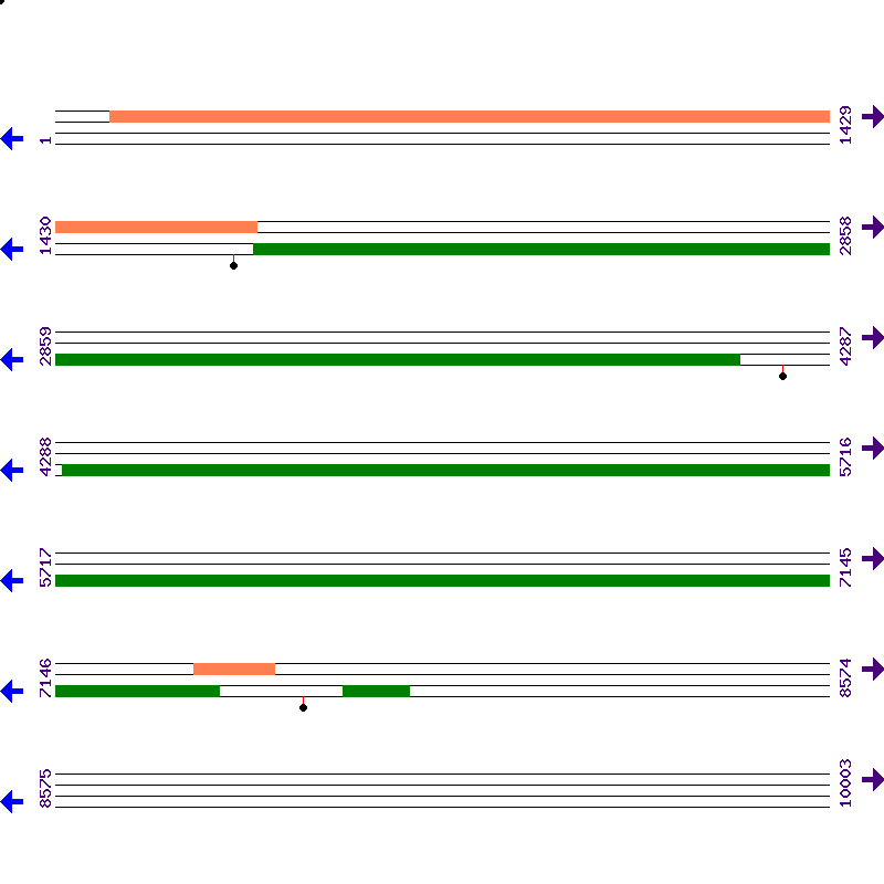 Genome View