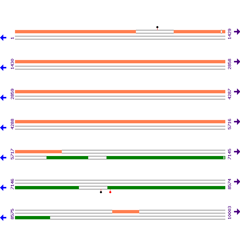 Genome View