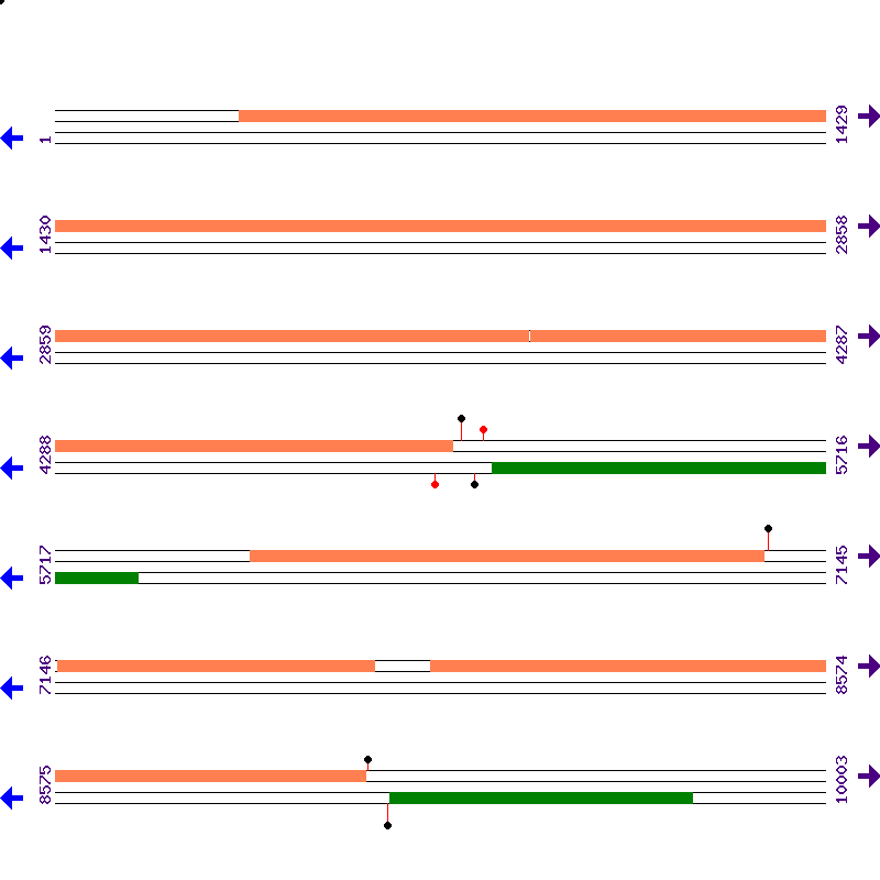 Genome View