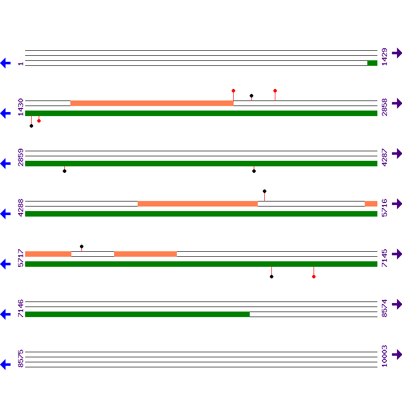 Genome View