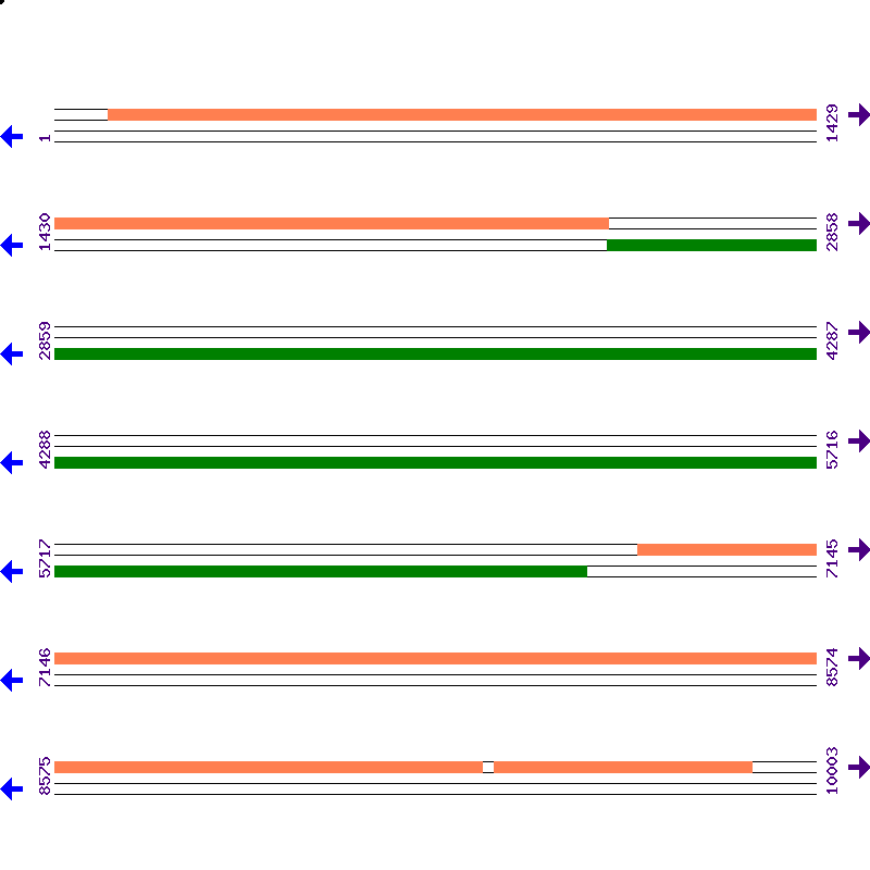Genome View