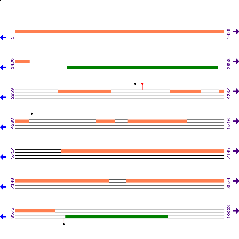 Genome View