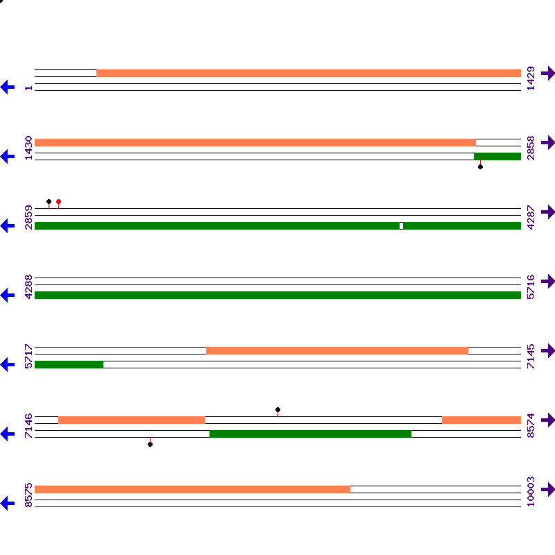 Genome View