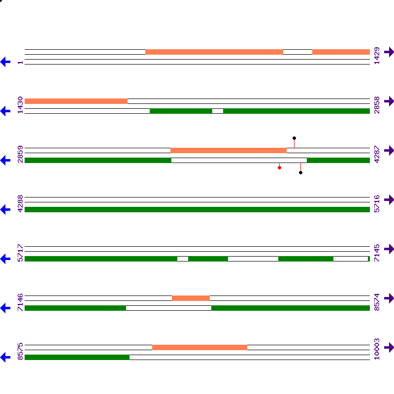 Genome View