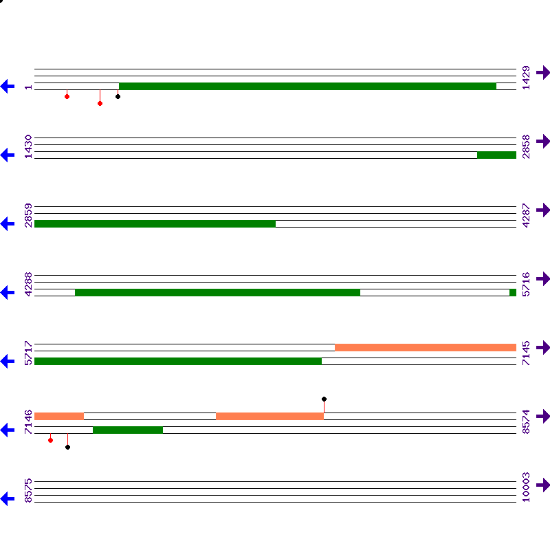 Genome View